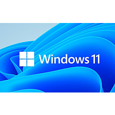 Windows 11 IoT Ent 64-bit, High, i7, Xeon